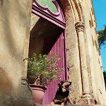 Chateau Du Vallier Superbe Vignobles Bordeaux Langoiran