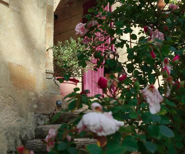 Chateau Du Vallier Superbe Vignobles Bordeaux Bed & Breakfast 3*