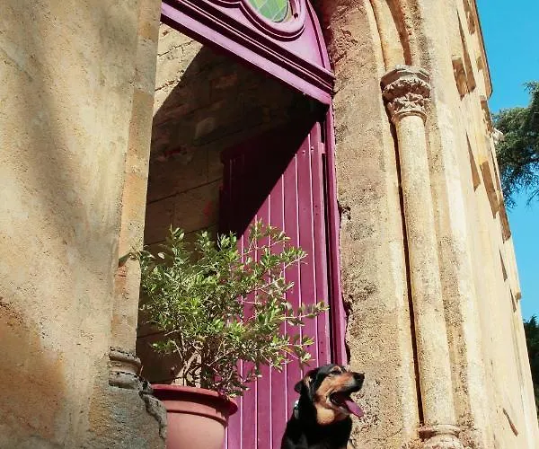 Chateau Du Vallier Superbe Vignobles Bordeaux Langoiran